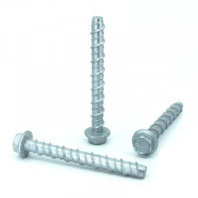 Screw Bolts